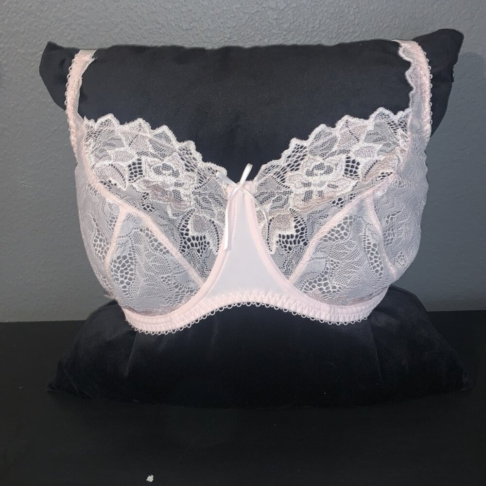 Lepel Fiore Lace Full Cup Bra, Light Pink 34H (US)